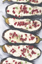 Fried eggplant with sauce, decorated with microgreens and pomegranate seeds, eggplant appetizer,