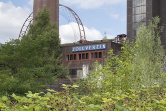 Zollverein coking plant, visitor centre, sun wheel, solar-powered Ferris wheel, blackberry bushes