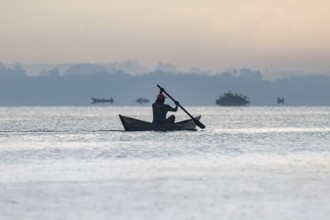 Fisherman in a rowing boat, silhouette, morning mood, Mabamba Swamp, Lake Victoria, Uganda