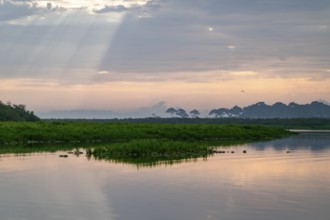 Morning atmosphere, reflection in Lake Victoria, sunbeams and cloudy sky, Mabamba Swamp, Lake