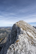 Mountaineer on the ridge of the Gamsjoch, transition to the main summit of the Gamsjoch, in autumn,