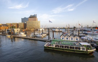 Boats in the City Sports Harbour on the Elbe, in the background Speicherstadt with Elbphilharmonie,