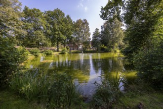 Pond and traditional estate, Undeloh, Lower Saxony, Germany
