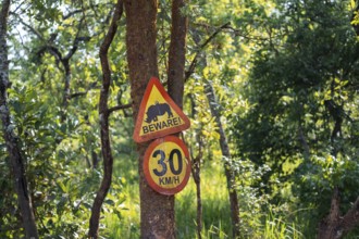 Traffic sign, Attention rhino, Animal welfare, Ziwa Rhino Sanctuary, Uganda