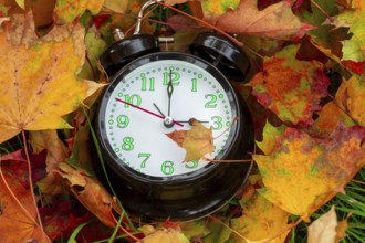 Winter time changeover: close-up of an alarm clock in autumn leaves