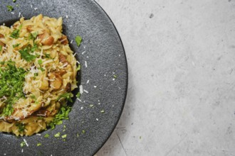 A delicious plate of risoni pasta combined with porcini mushrooms is presented beautifully. The