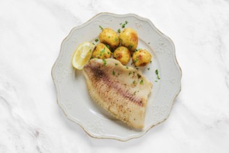A perfectly grilled red seabream fish fillet alongside tender baby potatoes sprinkled with herbs. A