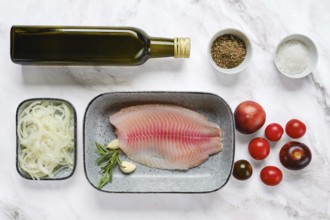 Fresh red seabream fish fillet on a gray plate surrounded by olive oil, tomatoes, onions, herbs,
