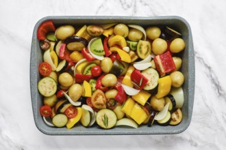 A vibrant mix of fresh vegetables is arranged in a baking tray, showcasing colorful peppers,