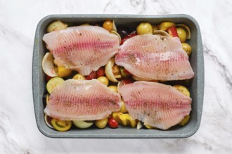 Fresh white fish fillets are arranged on a bed of colorful vegetables, including tomatoes and bell