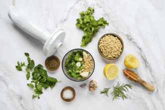 Fresh herbs, pine nuts, garlic, and lemon arranged around a bowl ready for blending. This setting