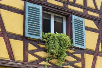 Window of a historic factory building, Colmar, France