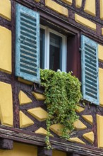 Window of a historic factory building, Colmar, France