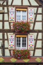 Decorated half-timbered house with ornate windows and flowers in the old town centre of Kaysersberg
