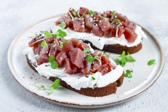 Sandwiches, rye bread with cream cheese, sliced tuna fillet with herbs, breakfast, homemade