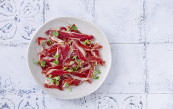Ham of duck breast, dried duck fillet, with microgreens, plate, on a tiled table