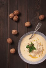 Satsivi, Georgian dish, chicken in nut sauce, cold appetizer, rustic, no people, homemade