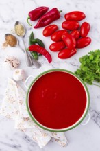 Georgian Satsebeli sauce, made from tomatoes and sweet peppers, with spices, homemade, no people