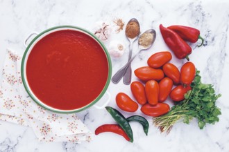 Georgian Satsebeli sauce, made from tomatoes and sweet peppers, with spices, homemade, no people