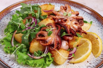 Grilled octopus with baked potatoes and fresh herbs, on a decorative plate, homemade