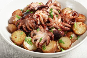 Baby grilled octopus with golden baked potatoes and fresh herbs, Maltese cuisine, homemade, no