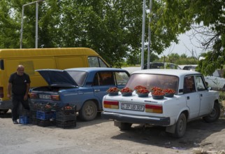 Cars parked at the side of the road, loaded with strawberries. A man stands next to them. Selling