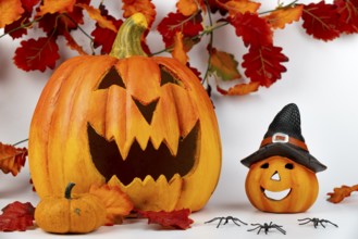 Halloween pumpkins surrounded by autumn leaves and spiders, white background