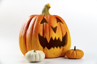 Spooky Halloween decoration with large and two small pumpkins, white background