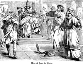Moses and Aaron in front of Pharaoh, God hardens Pharaoh's heart, Aaron throws a staff and the