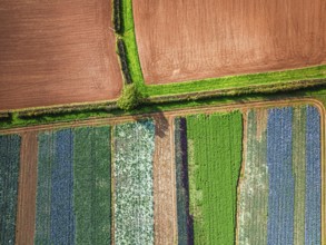 Top down view over fields from a drone, Devon, England, United Kingdom