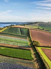 Fields and Farms at evening sun from a drone, Shaldon, Torquay, Devon, England, United Kingdom