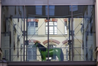 Horse show in the window, Leipzig, Saxony, Germany