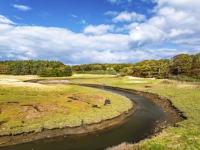 Marshes over Aberlady Bay and Peffer Burn from a drone, Luffness Castle, Aberlady, East Lothian,