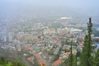 View of a city blanketed in fog with buildings and greenery in the foreground. Various buildings