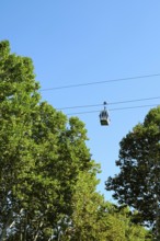 A cable car glides smoothly along rope road, surrounded by vibrant green trees. The clear blue sky