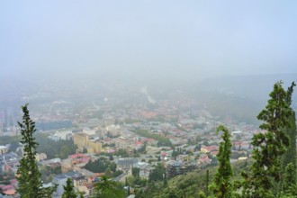 A dense fog blankets the city of Tbilisi, obscuring buildings and creating a mystical atmosphere