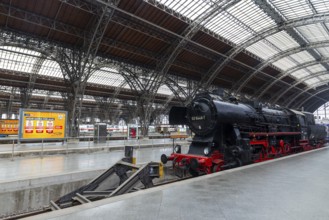 Riveted iron framework in the main railway station, historic steam locomotive, main railway