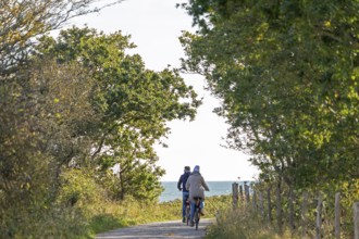Cyclist, path, trees, Geltinger Birk nature reserve, Nieby, Schleswig-Holstein, Germany