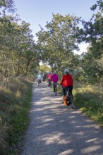 Cyclist, path, trees, Geltinger Birk nature reserve, Nieby, Schleswig-Holstein, Germany