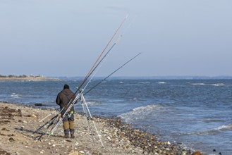 Angler, fishing rods, Baltic Sea, Falshöft, Pommerby, Schleswig-Holstein, Germany