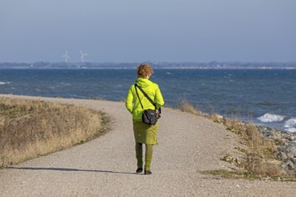 Stroller, path, Baltic Sea, Geltinger Birk nature reserve, Nieby, Schleswig-Holstein, Germany