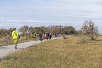 Walkers, path, trees, Geltinger Birk nature reserve, Nieby, Schleswig-Holstein, Germany