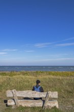 Man sitting on a bench, Baltic Sea, Geltinger Birk nature reserve, Nieby, Schleswig-Holstein,