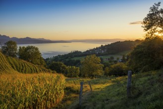 Panorama, Lake and mountains, Tour-de-Gourze, Riex, Sunset, Lavaux, UNESCO World Heritage Site,