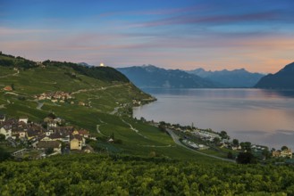 Picturesque village in the vineyards by the lake, Epesses, sunset, full moon, Lavaux, UNESCO World