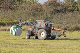 Tractor transporting bales of silage wrapped in film, Falshöft, Pommerby, Schleswig-Holstein,