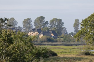 Holiday village Reetdorf Geltinger Birk, Geltinger Birk nature reserve, Geltinger Bucht,