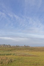 Holiday village Reetdorf Geltinger Birk, Geltinger Birk nature reserve, Geltinger Bucht,