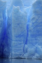 Grey Glacier, in Grey Lake, Torres del Paine National Park, Patagonia, Chile, South America