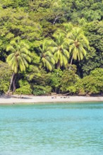 Tropical beach, Manuel Antonio National Park, Quepos, Costa Rica